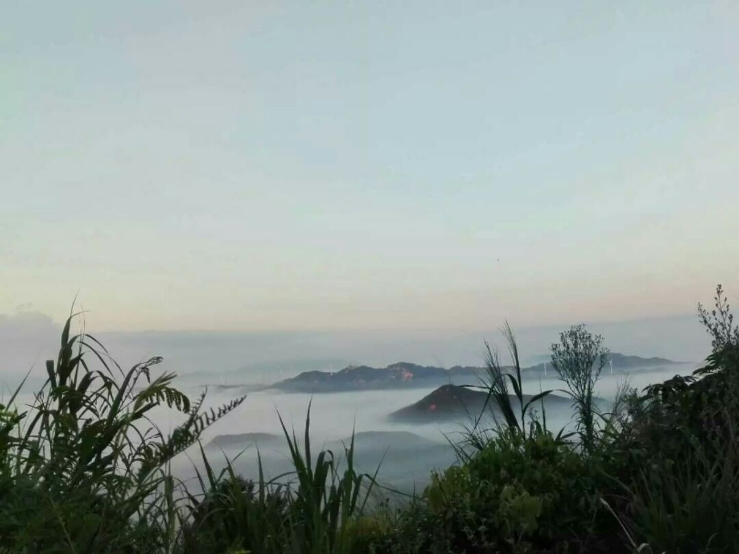 不是吧又来骗我买东西