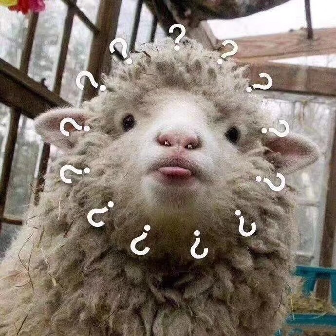 喜提可爱多本人