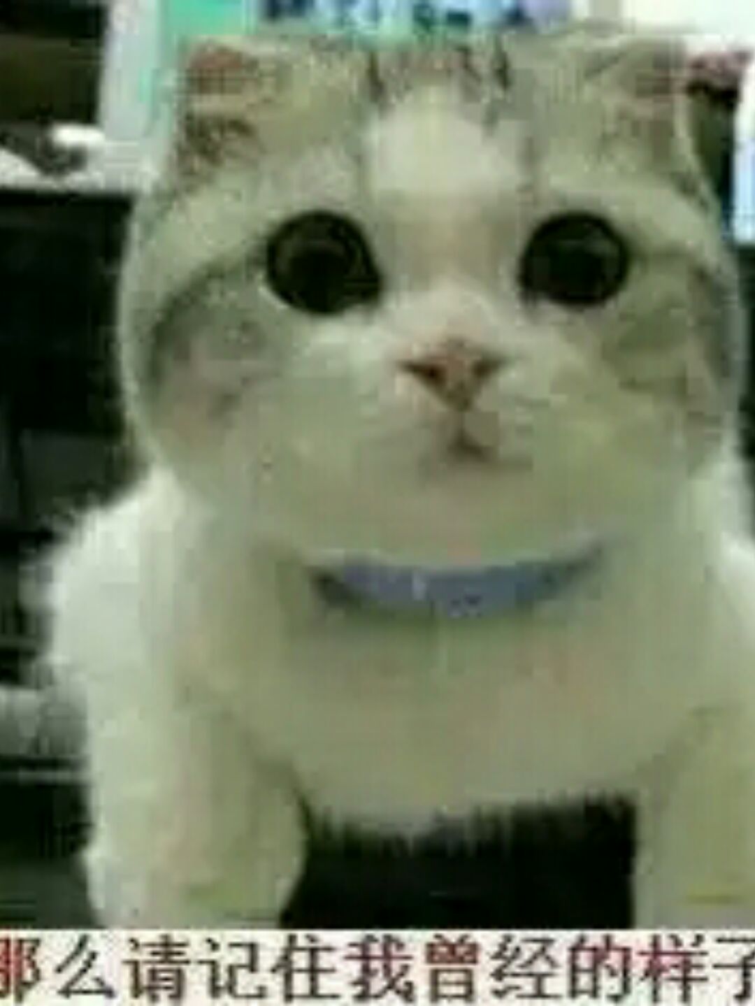 生命就像一场告别、