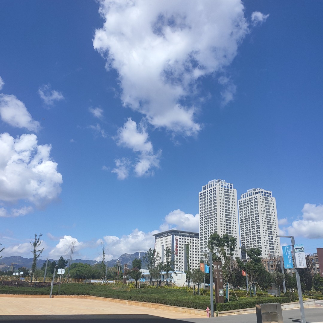 爱吃铁板茄盒的夏洛