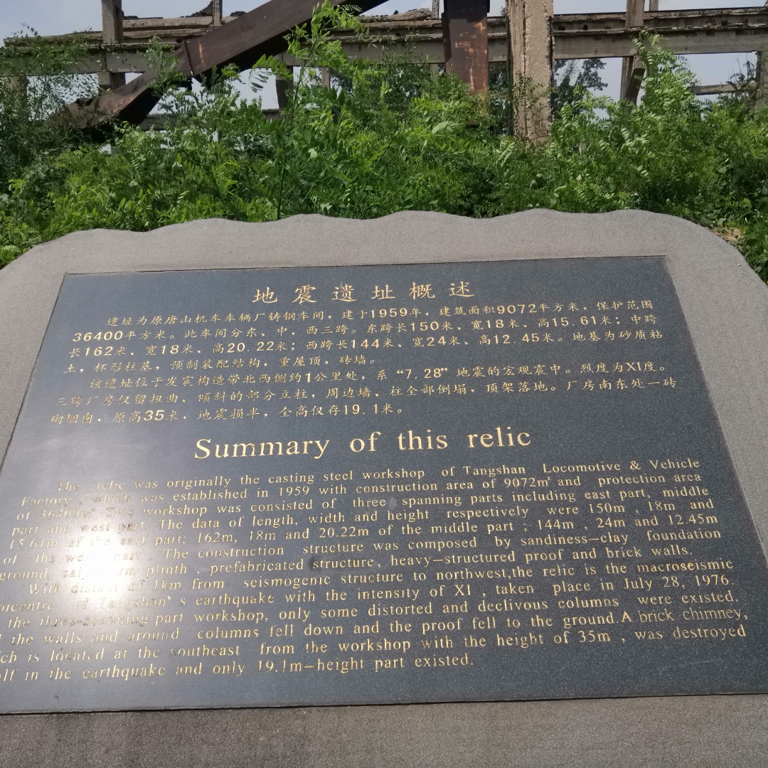 如果当时我们不那么倔强