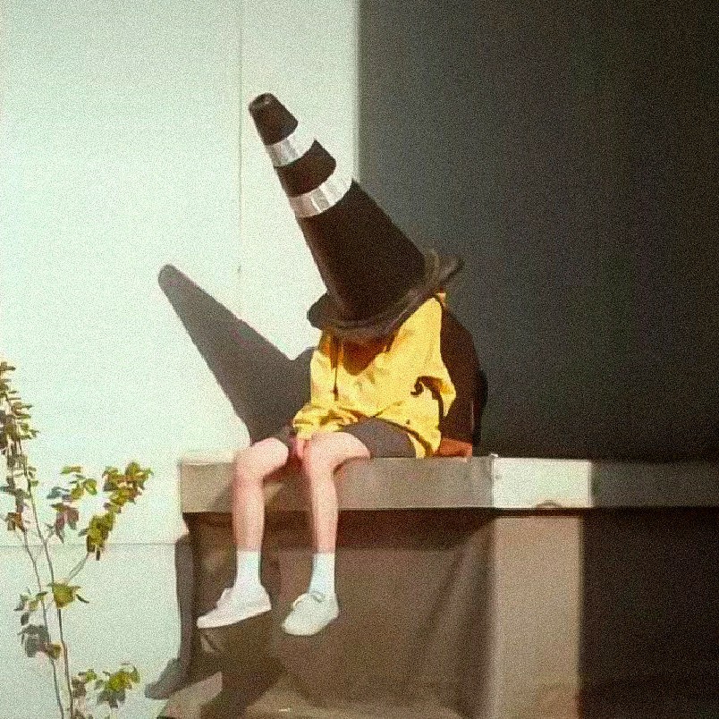 爱吃糖炒年糕的沙冰