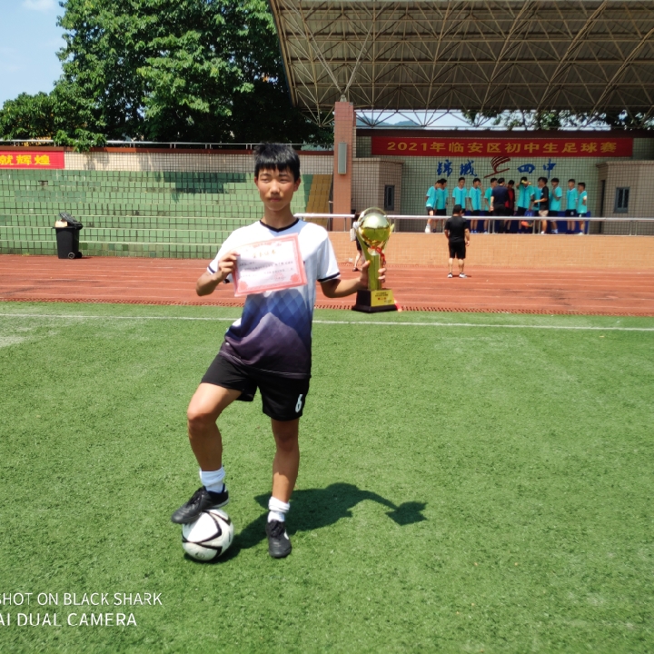 爱吃椰香雪梨的断浪