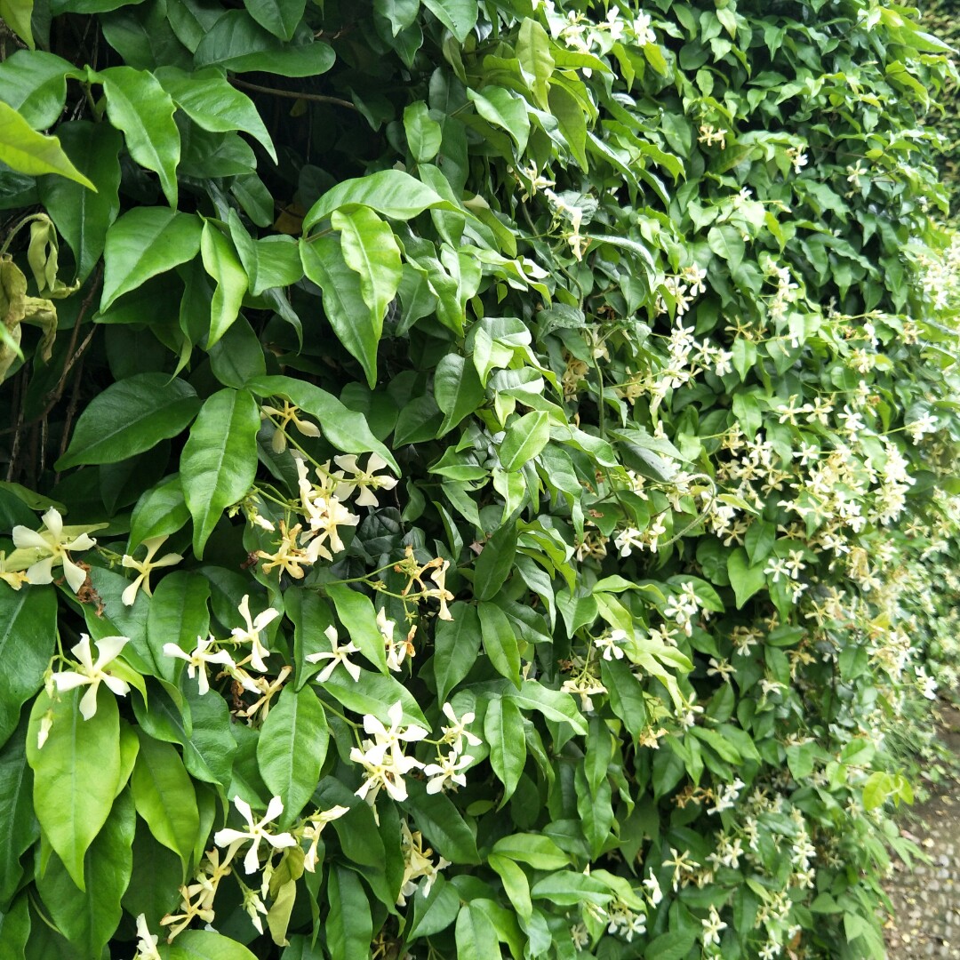 脚踏实地勤恳做事