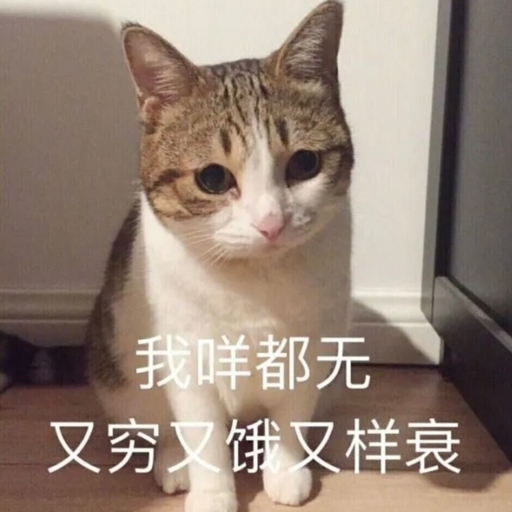 不要发邮正