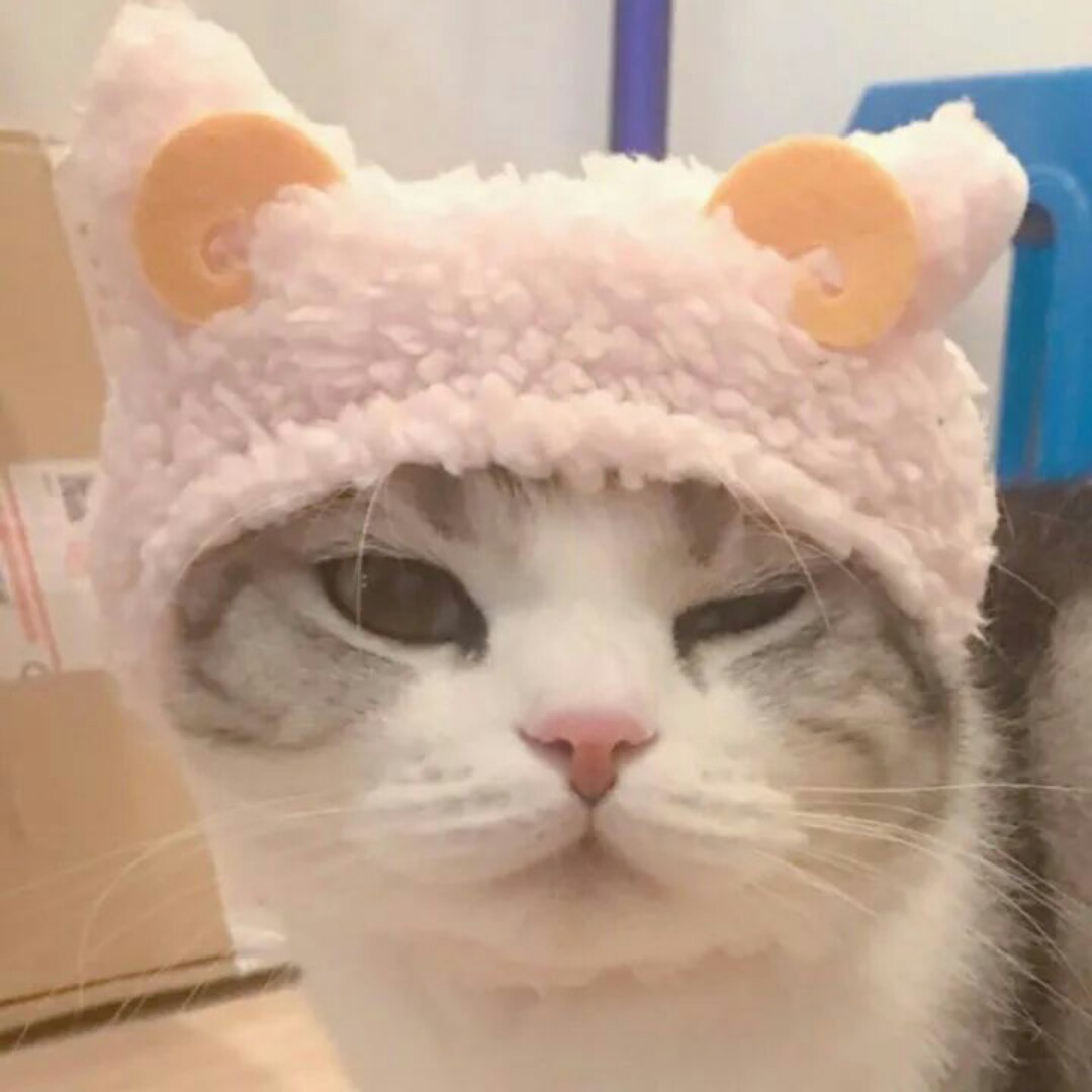 小小小小点任性