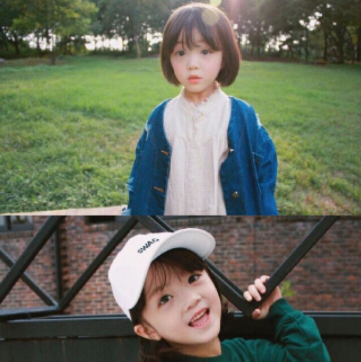 灰灰的疏毛磨芋姬季