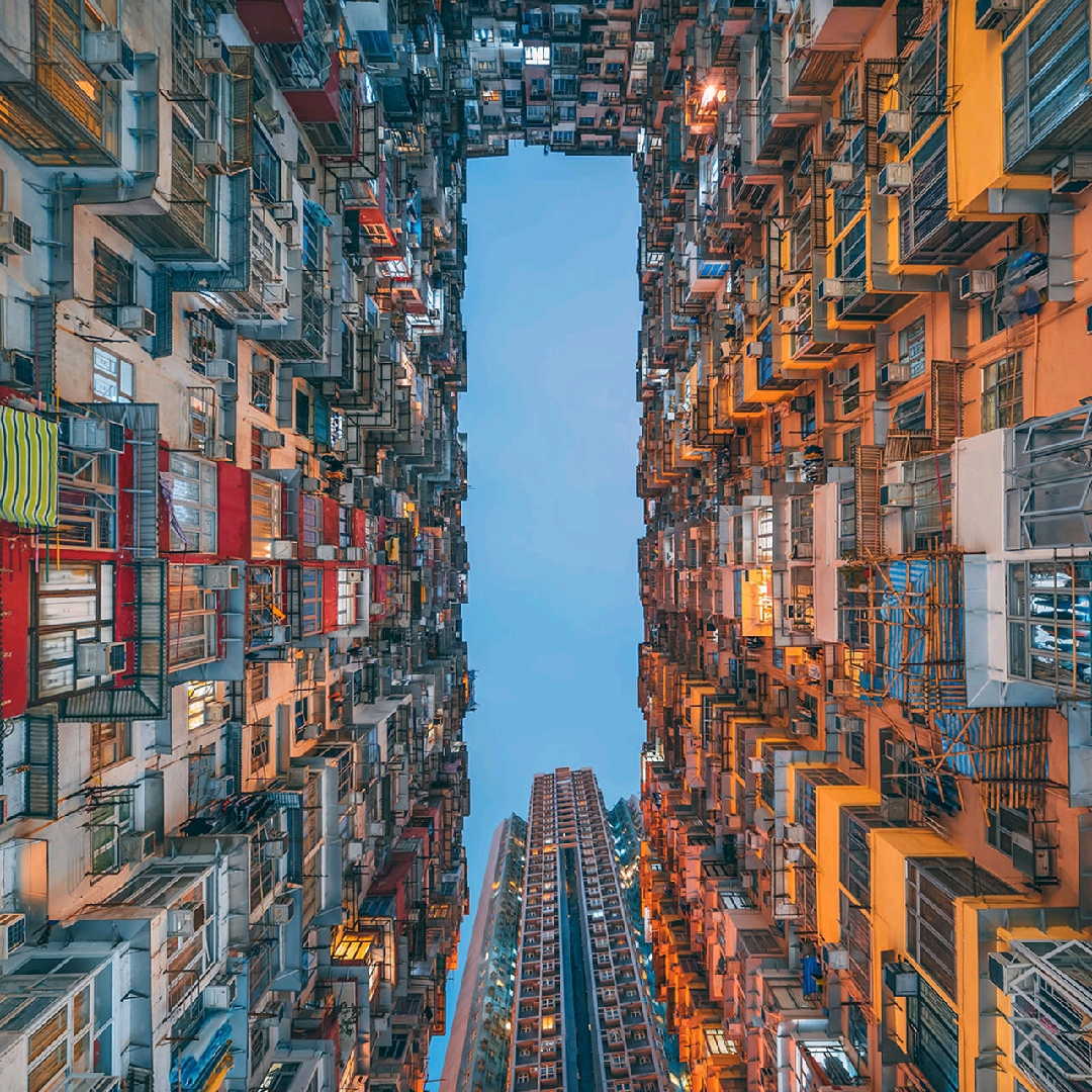 中国单身者协会会长