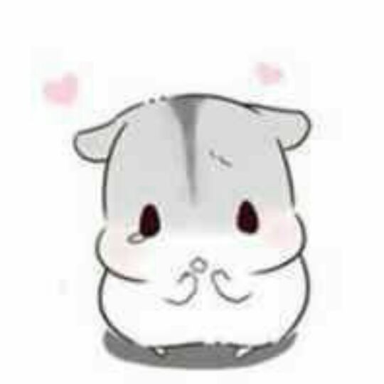 孩子你怎么这么皮？