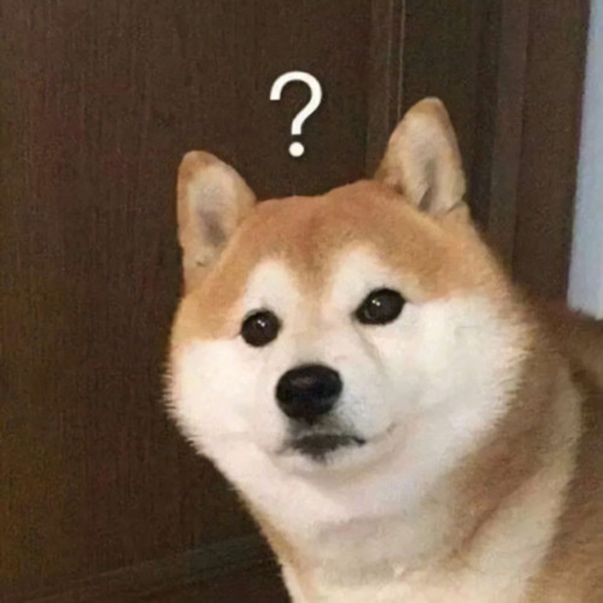 学校的五好青年