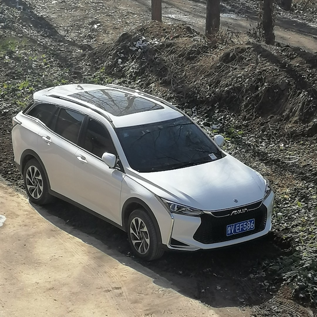 爱吃南瓜米糊的小橙子