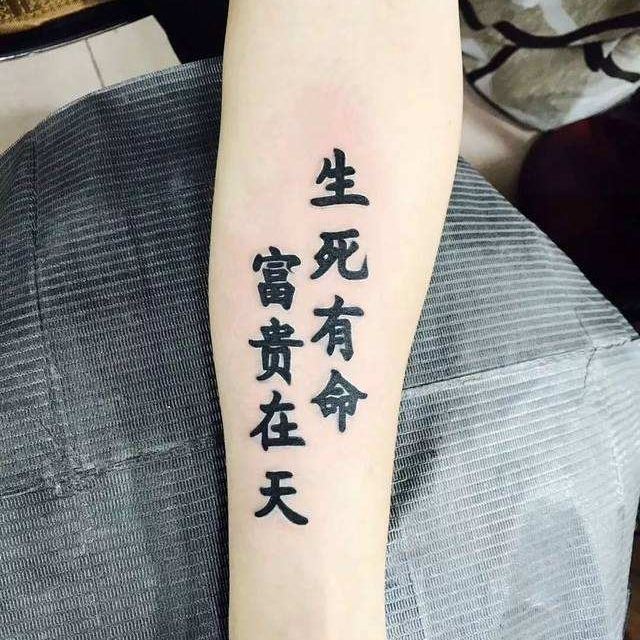 ZN铁男