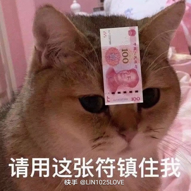 回忆未来哈