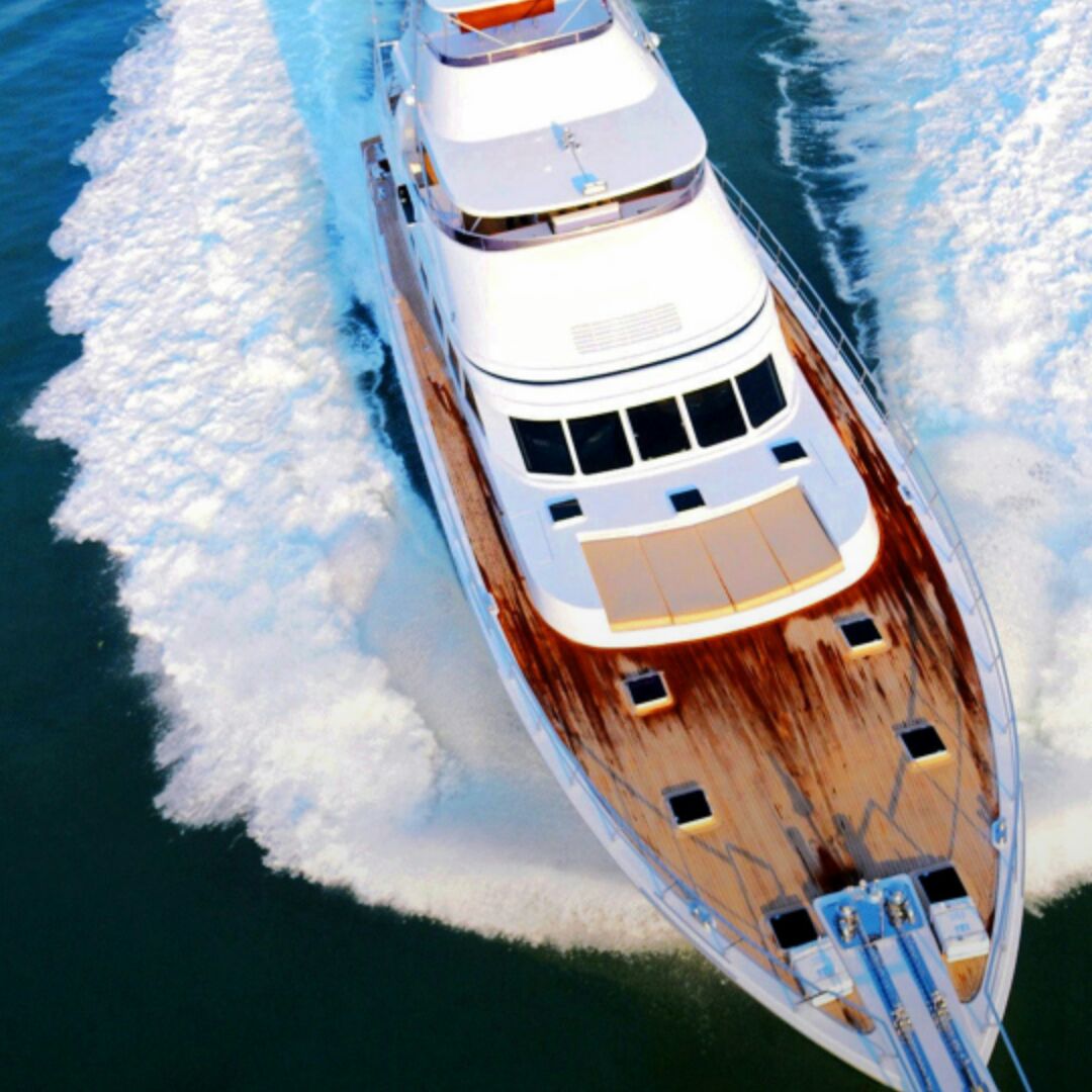 唐朝全能的川乌