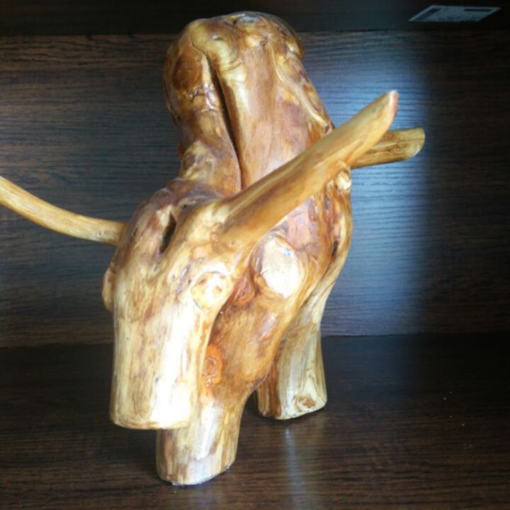 大表姐的车神de