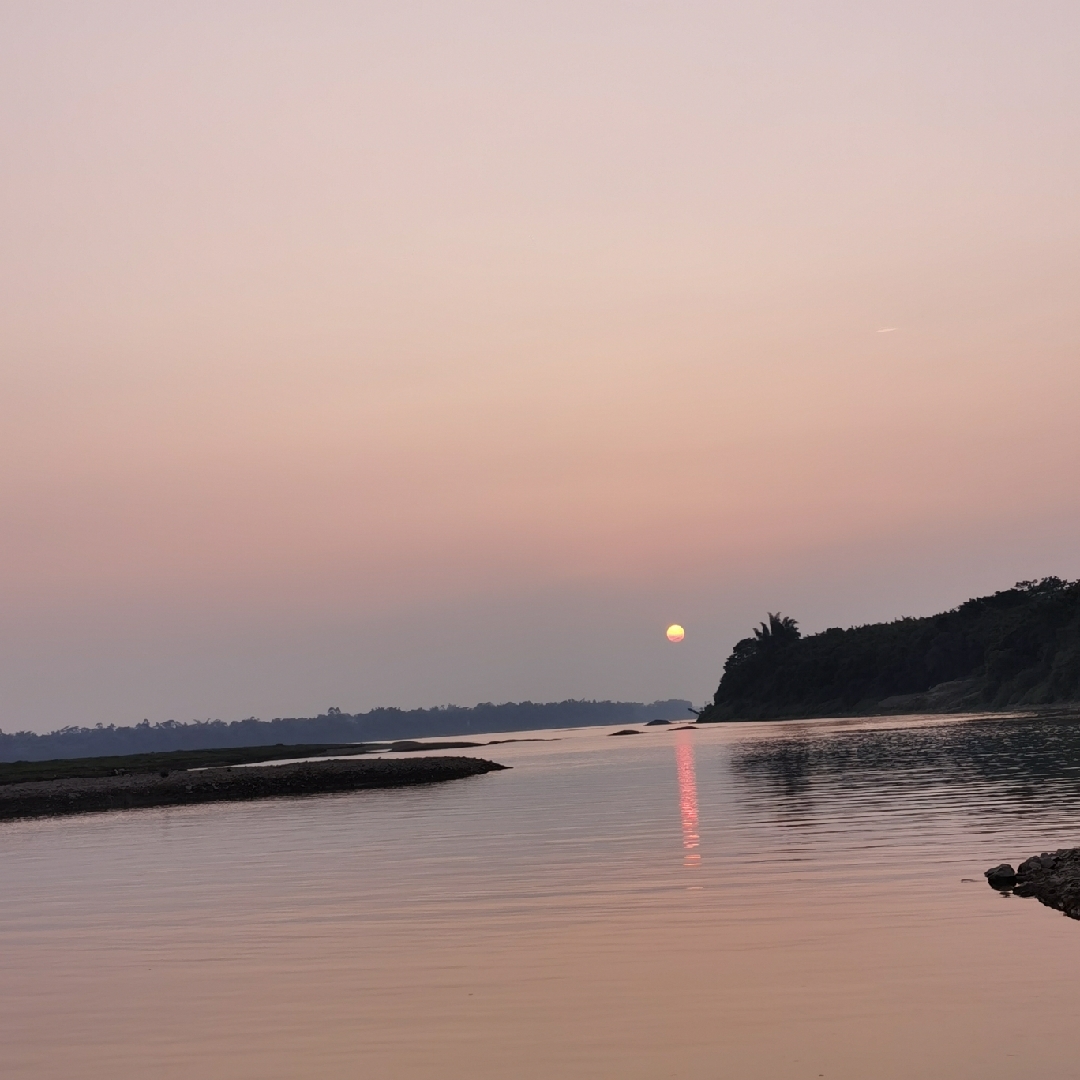 白蒙蒙的道格海棠