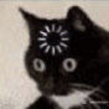 我的id叫黑色的板蓝根