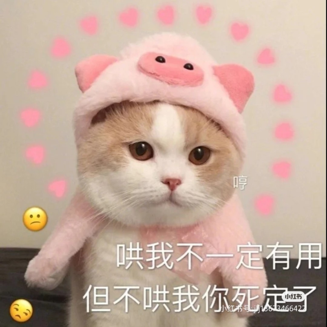 爱吃糖汁糍粑的甜橙