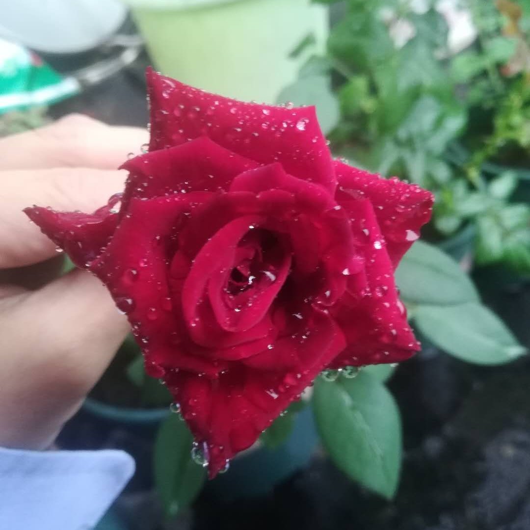 咖啡馆里的路人