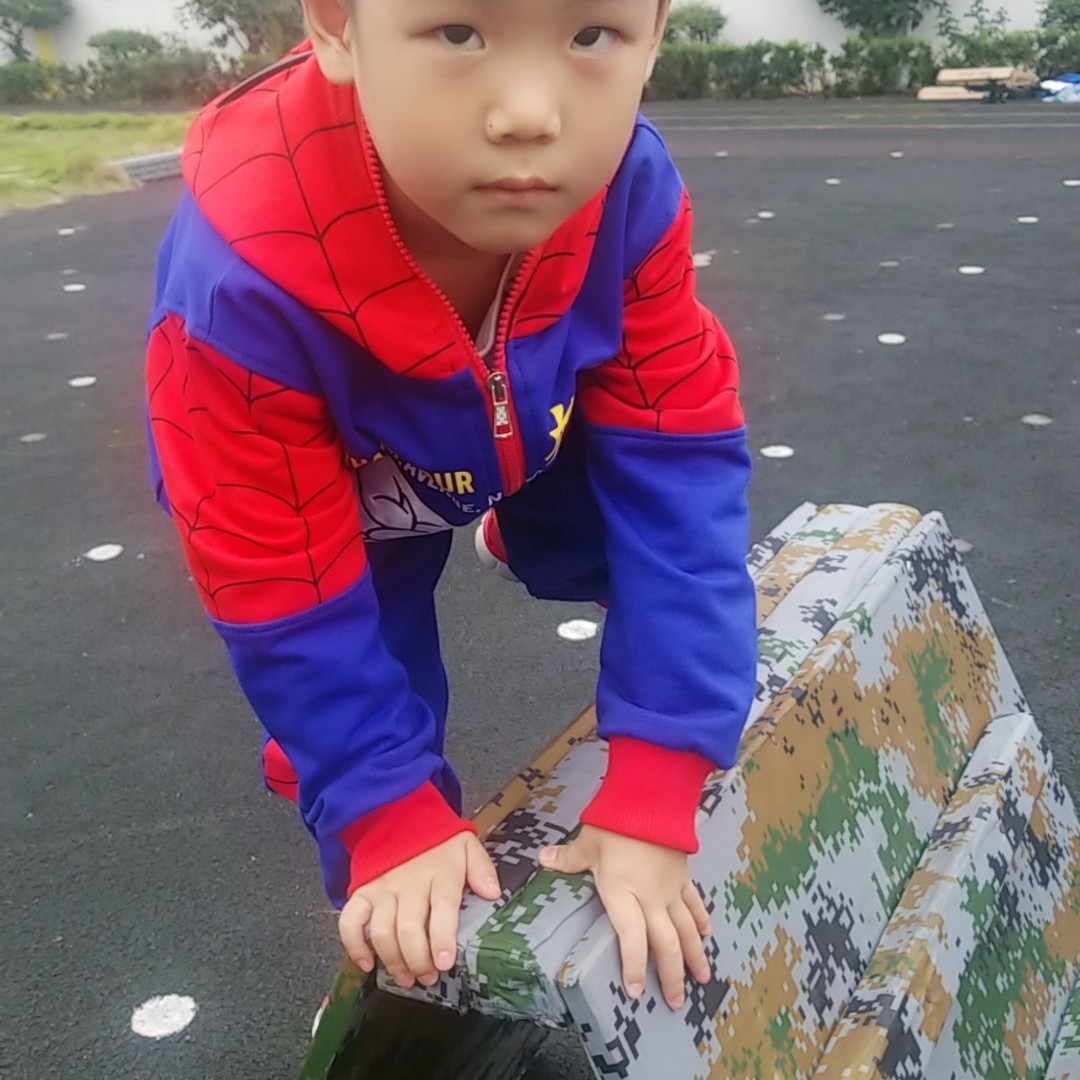 紫色的速生樱花