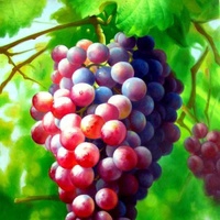 爱shoping的孩儿妈