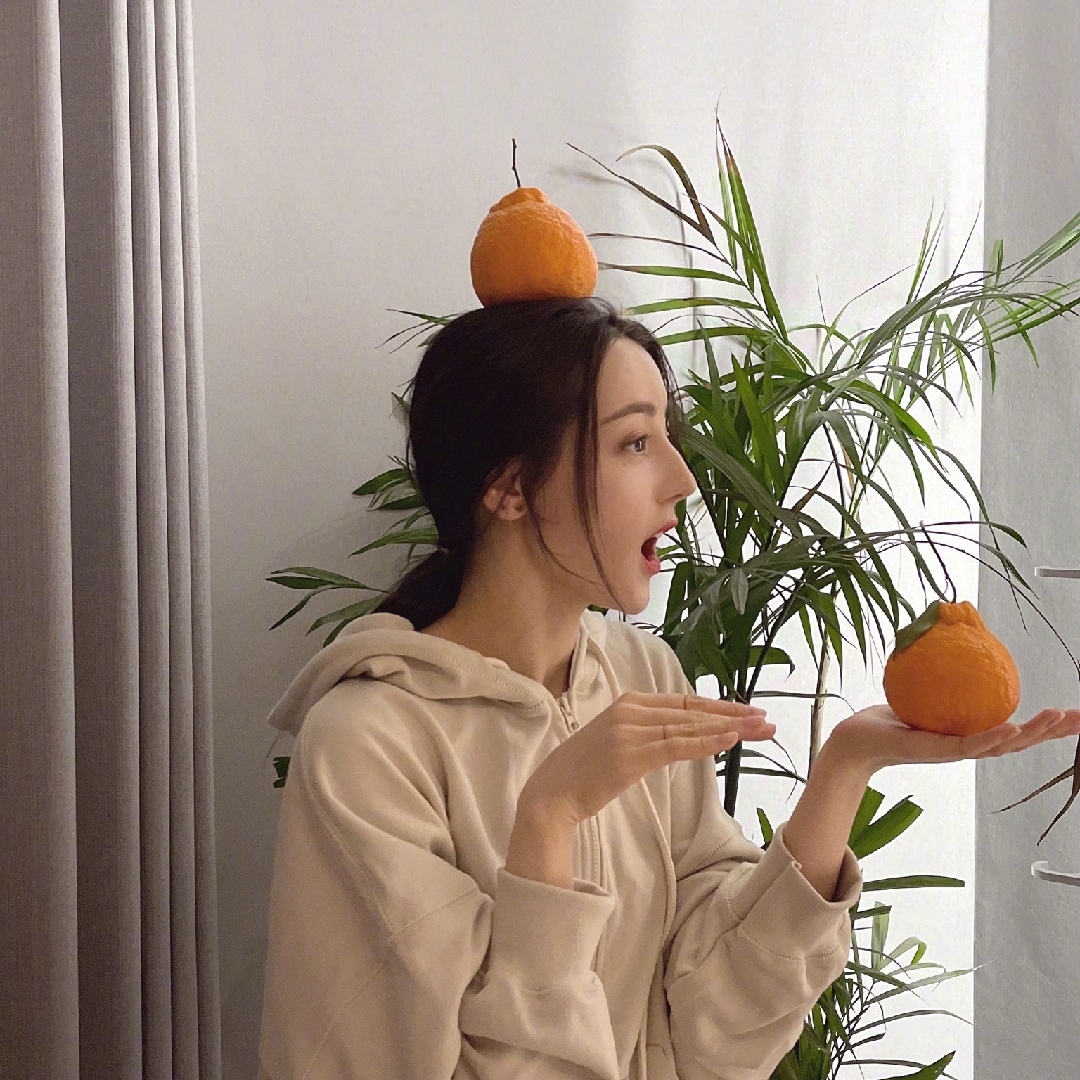 联合国公认保护对象