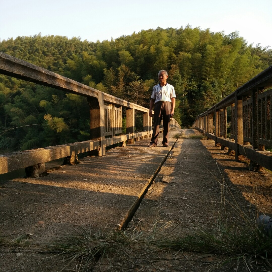 爱吃三丁炒肉的炊烟一只