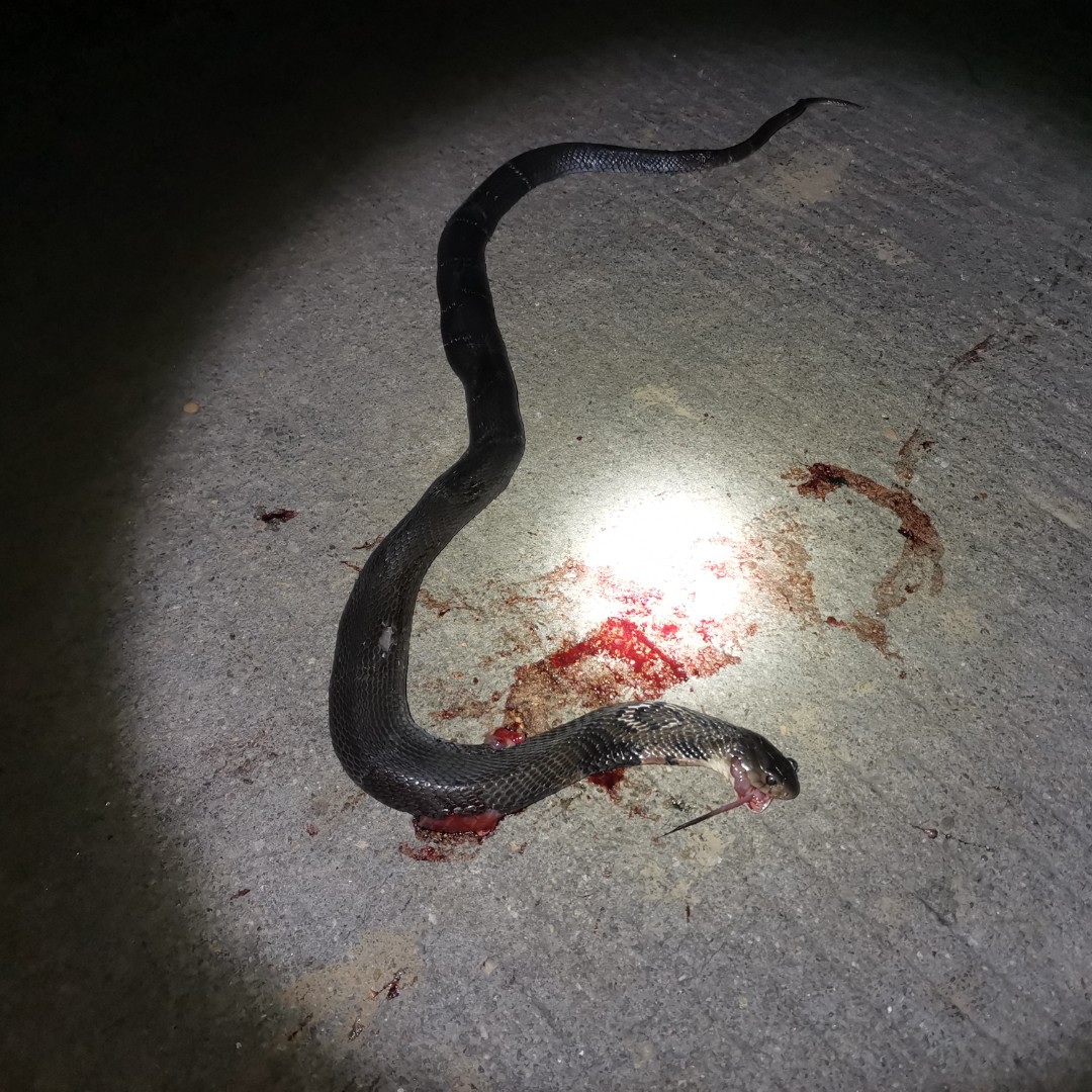 当哈利碰上莎莉