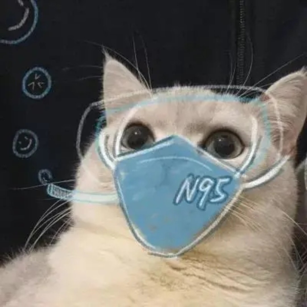 元气少女郭德纲84