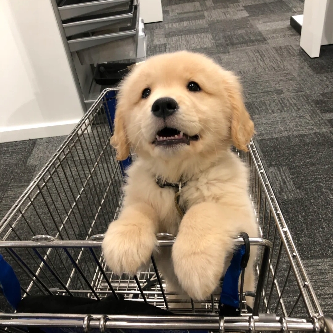 错过了就是遗憾