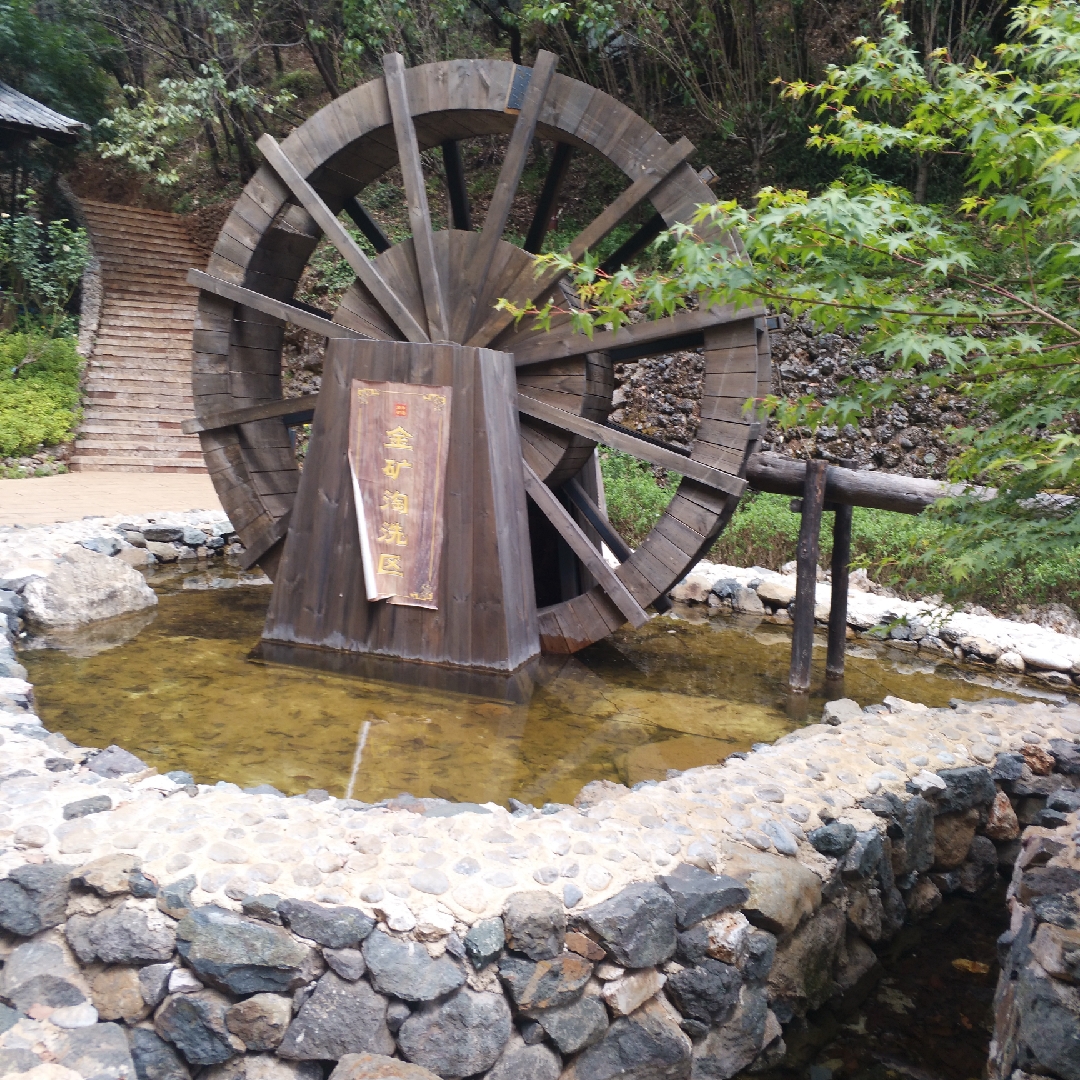 爱跳舞的西红柿94