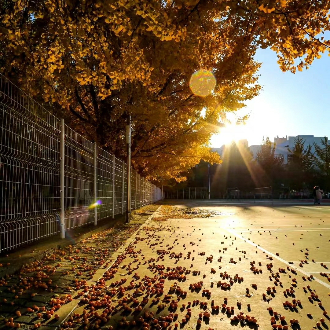 我要五百零一万