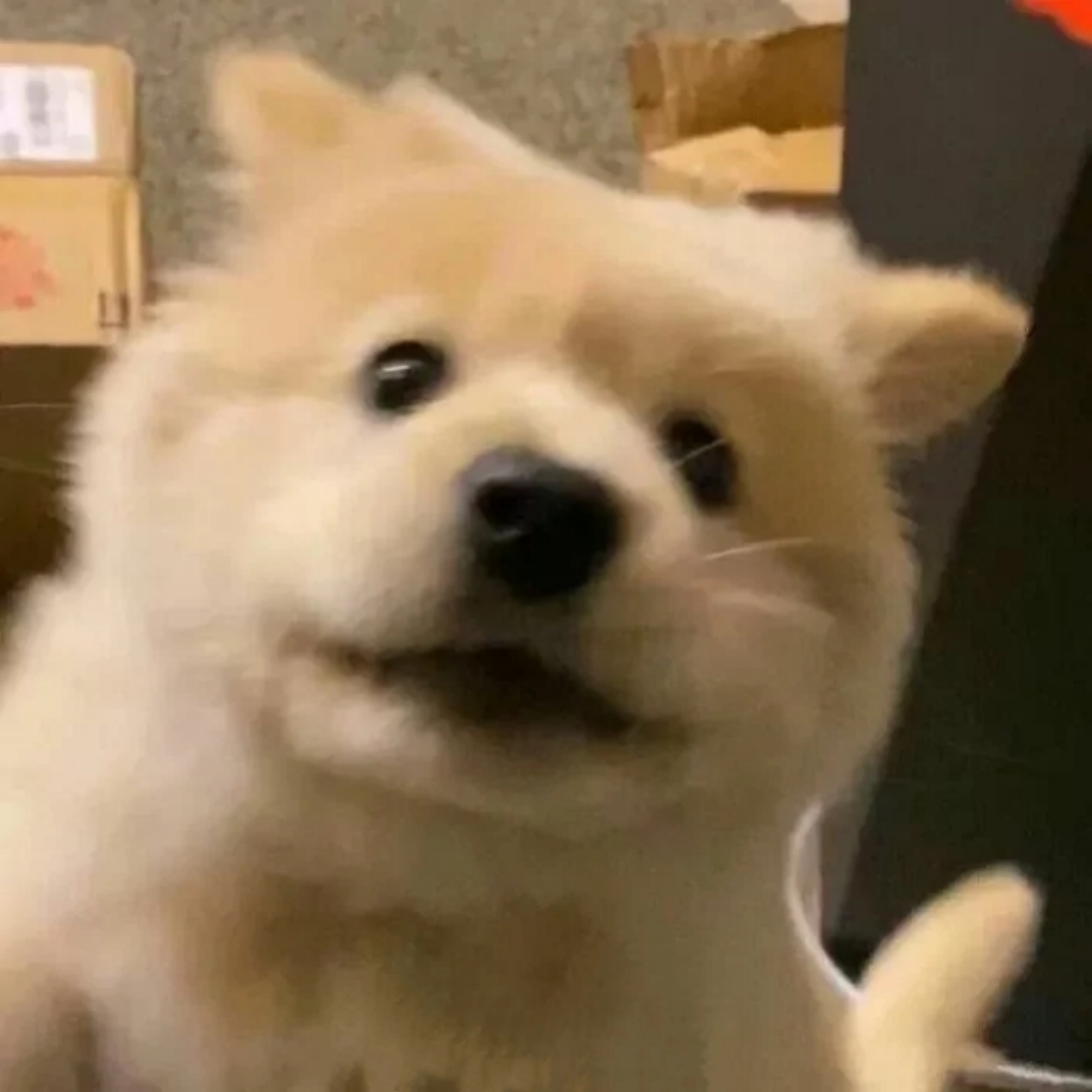 小小小小董董:-x