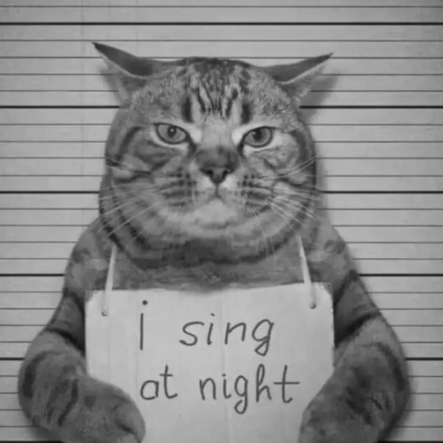 案板街有为青果