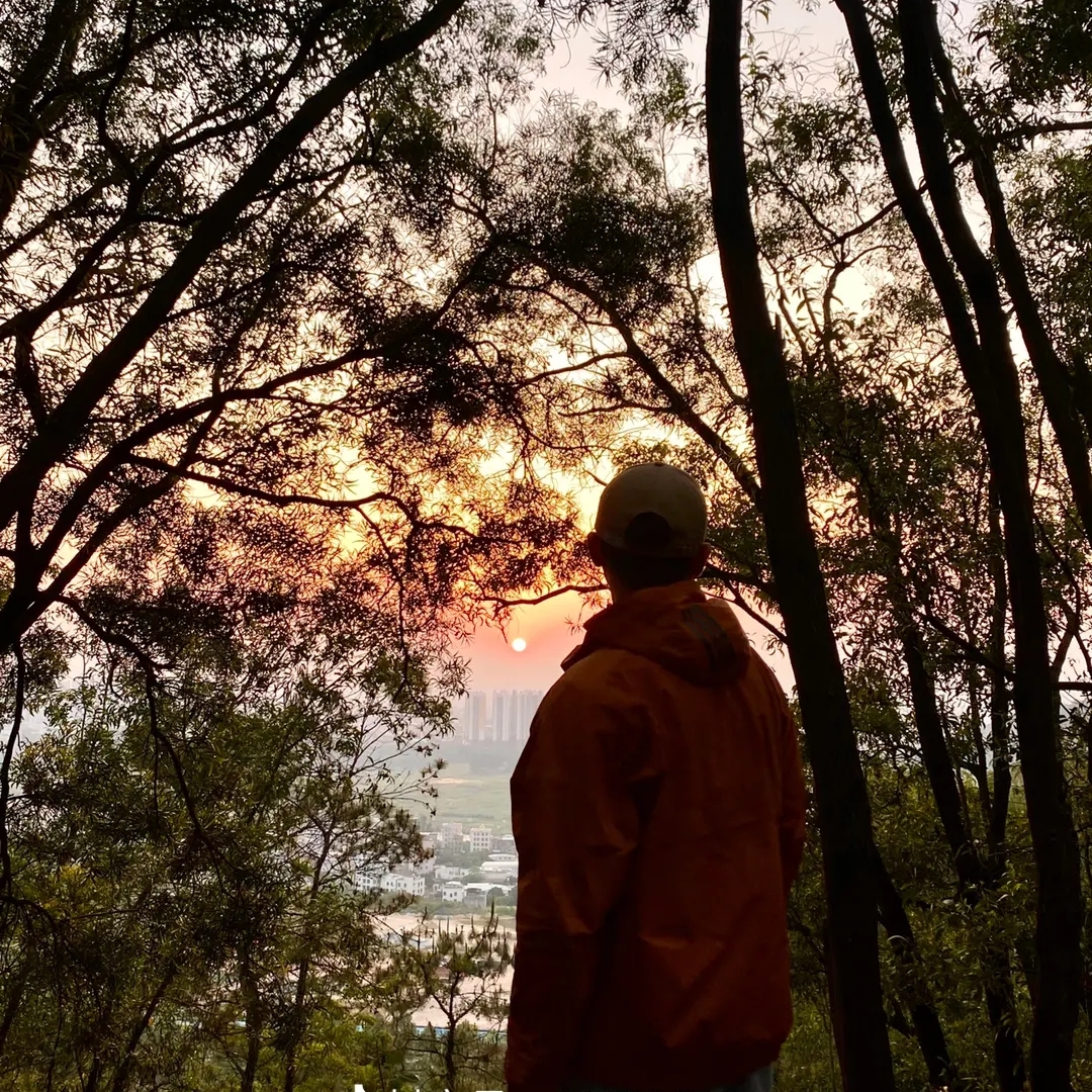 老实人做实事说实话会夸人