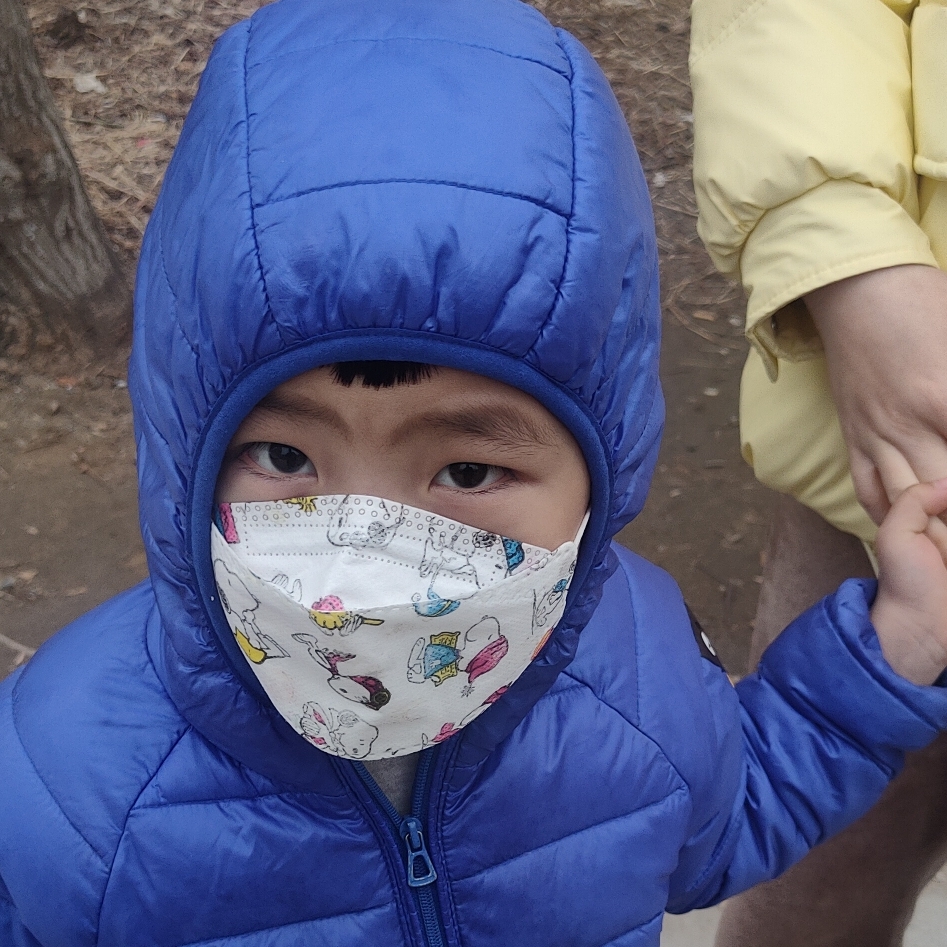 紫水晶色的乌头