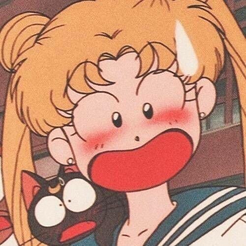 超可爱的橘子皮