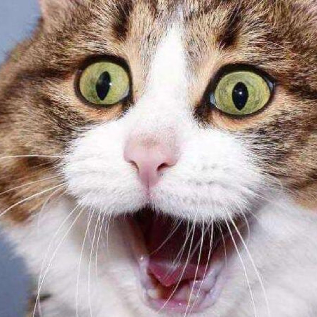 喷之道损不足而卷有余