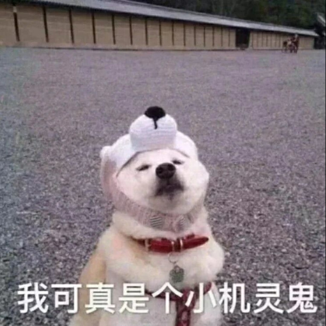 爱吃八珍豆付的天天