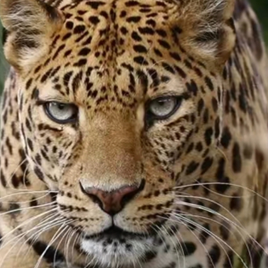 水乡柔情好地方