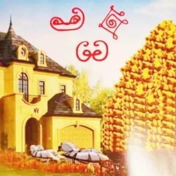 美妙的水蜜桃27