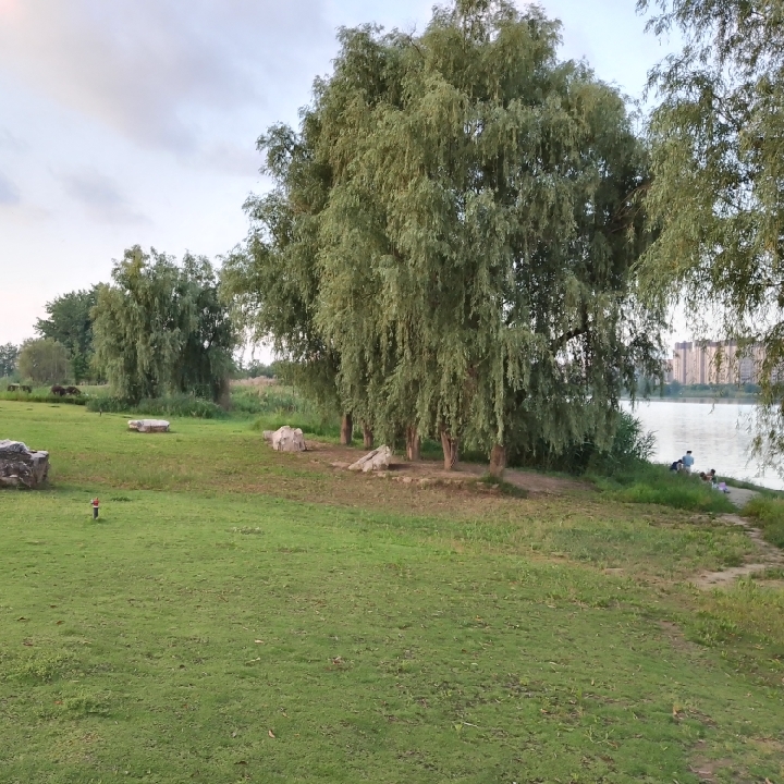 爱吃白菜卷肉的小汤圆