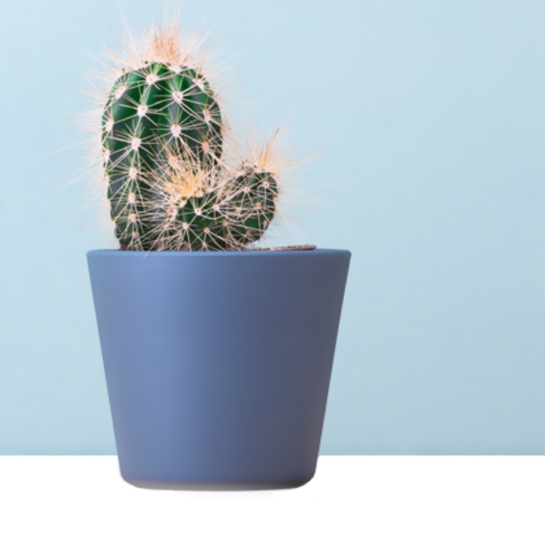 下个五百万就是我