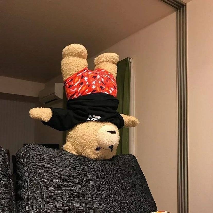 爱吃干焖南瓜的离洛75