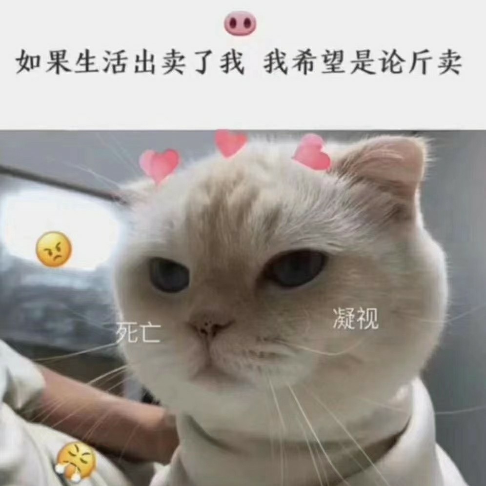 爱吃江蟹炒蛋的香瓜