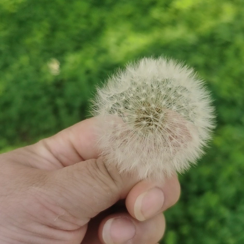 数到三我就笑了