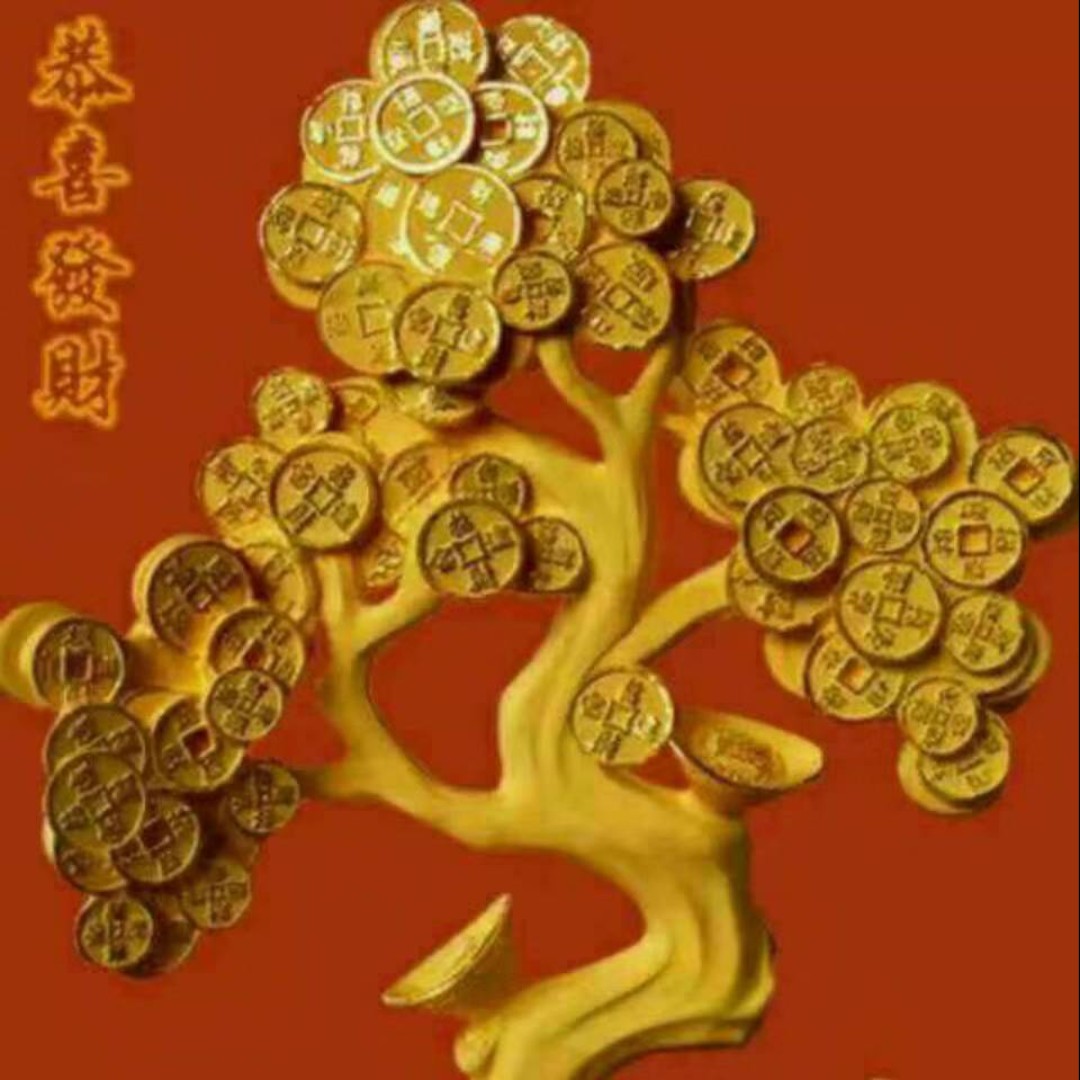 我喜欢发财树
