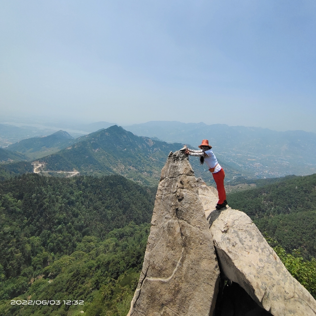 石榴红的空气铁兰