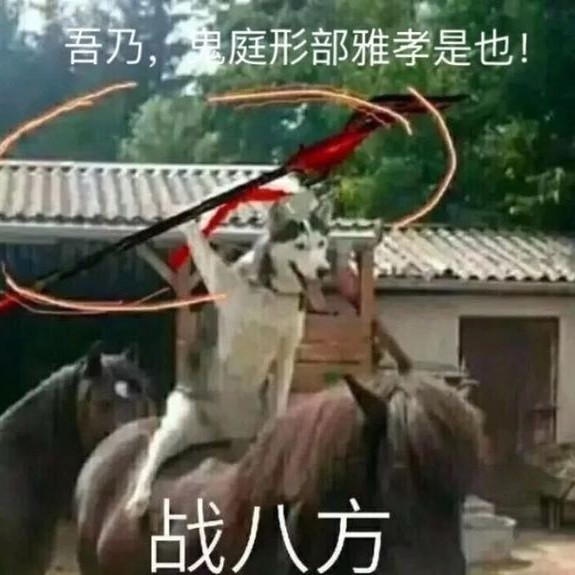 爱吃炒八爪鱼的小彩霞