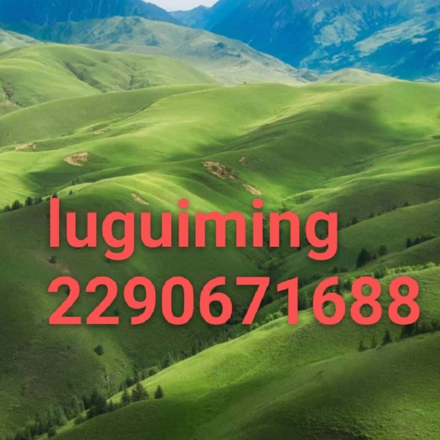 luguiming229